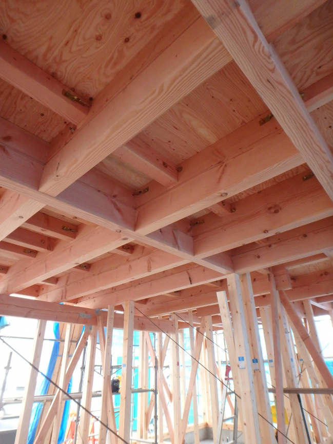 12/11�wTD�z�[�����S�\���x���w��