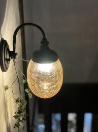 5/23(�y)�E24(��)�������w��