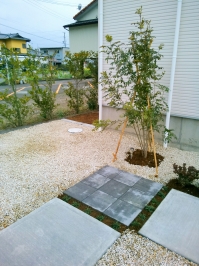 ���A�v���[�`�A��