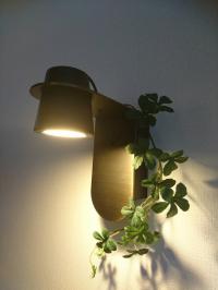 �N���V�J�����_���ȕ�炵