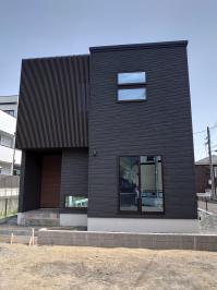 ���C�~�f�U�C���~�S�ً�