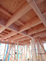 5/15(�y)�E16(��)�@�\�����w��